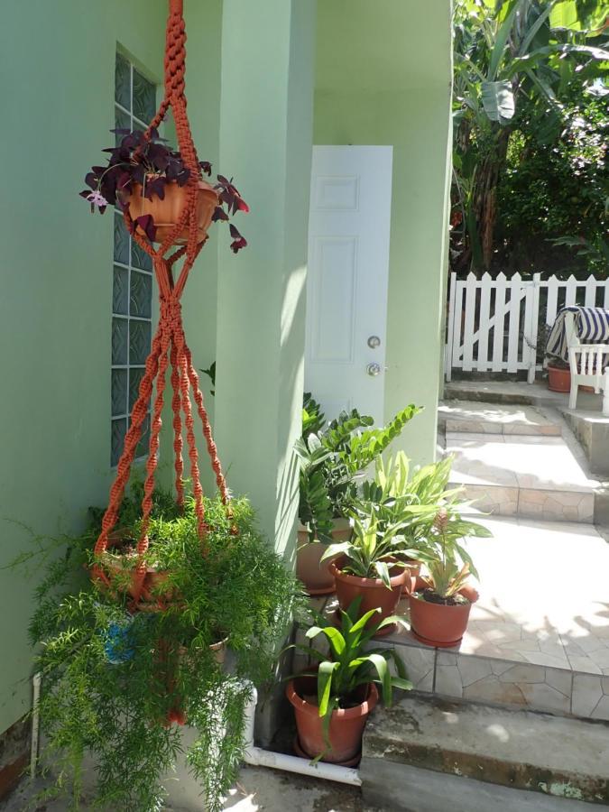 Urban Oasis Apartment Castries Exterior photo