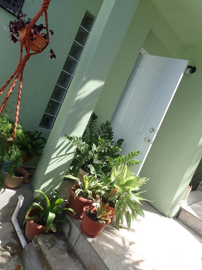 Urban Oasis Apartment Castries Exterior photo